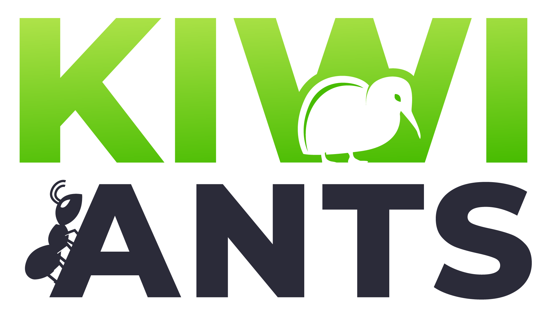Kiwi Ants